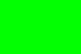 green screen of everything Blank Meme Template