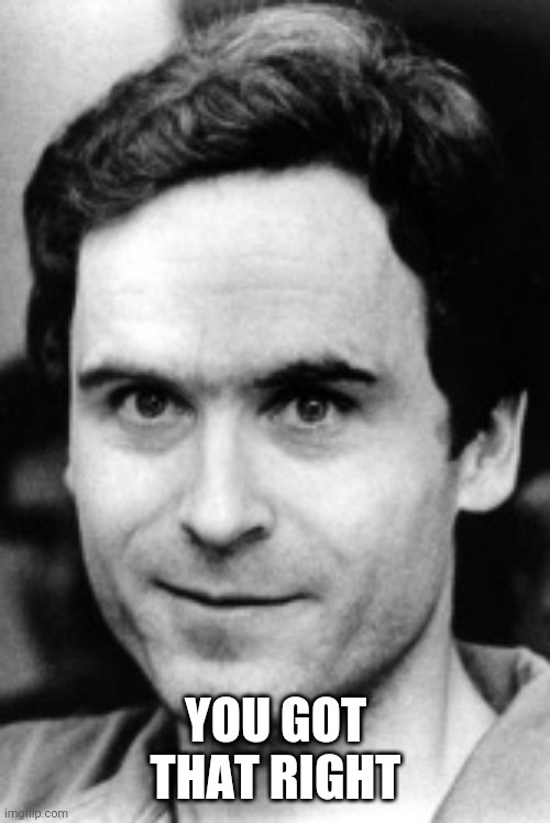 Ted bundy | YOU GOT THAT RIGHT | image tagged in ted bundy | made w/ Imgflip meme maker