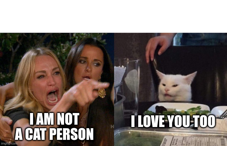 I am not a cat person | I LOVE YOU TOO; I AM NOT A CAT PERSON | image tagged in cat yelling | made w/ Imgflip meme maker