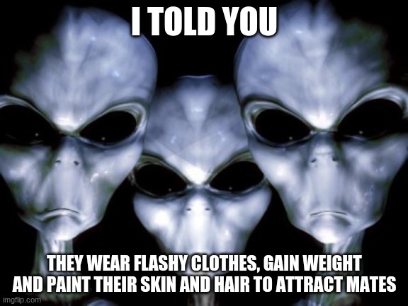 Watching humans is fun | I TOLD YOU; THEY WEAR FLASHY CLOTHES, GAIN WEIGHT AND PAINT THEIR SKIN AND HAIR TO ATTRACT MATES | image tagged in angry aliens,watching humans is fun,look at that one,they all have ear plugs,confused aliens,take a selfie | made w/ Imgflip meme maker