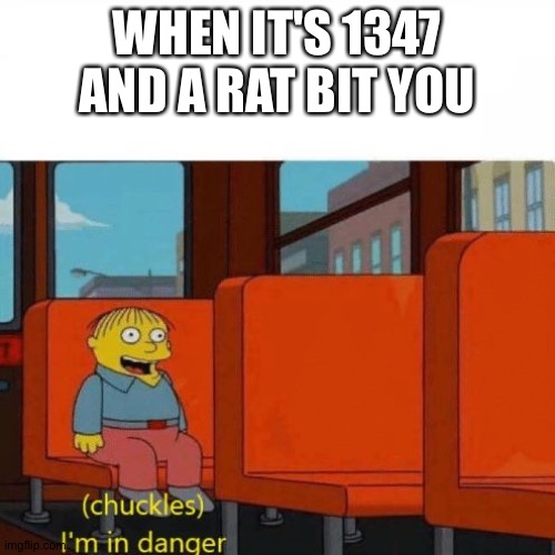 Chuckles, I’m in danger | WHEN IT'S 1347 AND A RAT BIT YOU | image tagged in chuckles i m in danger,memes,rats | made w/ Imgflip meme maker