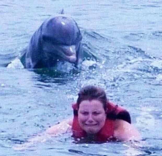 Woman swimming from dolphin Blank Meme Template