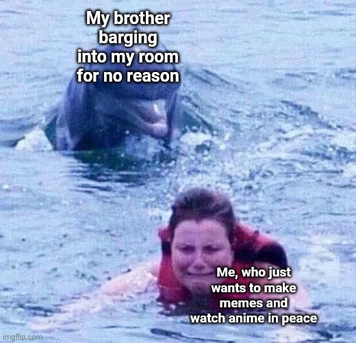 Two images I have submitted here today. Any more, and I'd have to switch to alternative accounts | My brother barging into my room for no reason; Me, who just wants to make memes and watch anime in peace | image tagged in woman swimming from dolphin,memes,shitpost,anime | made w/ Imgflip meme maker
