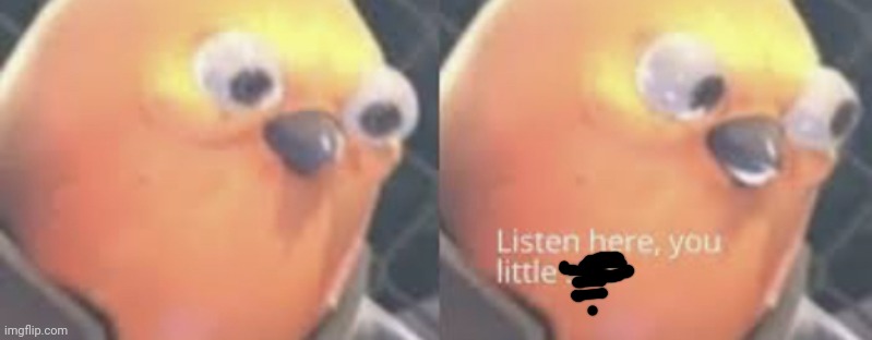 Listen here you little shit bird | image tagged in listen here you little shit bird | made w/ Imgflip meme maker