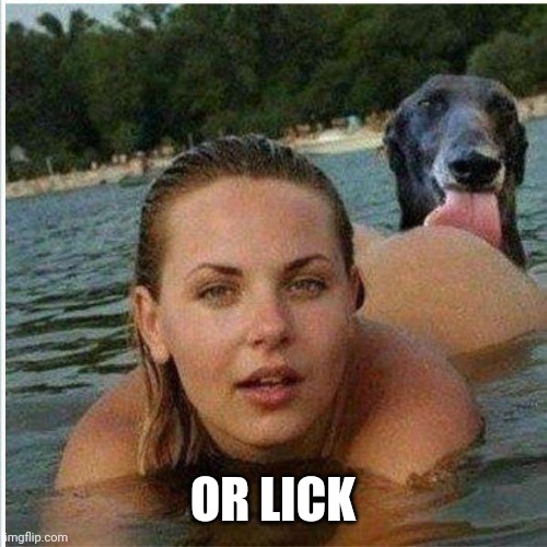 Ass licking | OR LICK | image tagged in ass licking | made w/ Imgflip meme maker