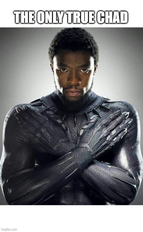 RIP Legend | THE ONLY TRUE CHAD | image tagged in chadwick boseman | made w/ Imgflip meme maker