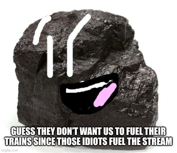 Coal  | GUESS THEY DON’T WANT US TO FUEL THEIR TRAINS SINCE THOSE IDIOTS FUEL THE STREAM | image tagged in coal | made w/ Imgflip meme maker