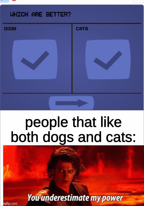 but i like them the same UwU | people that like both dogs and cats: | image tagged in white,dog,cat,oof | made w/ Imgflip meme maker