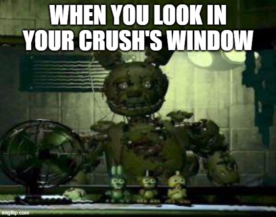 Springtrap crush | WHEN YOU LOOK IN YOUR CRUSH'S WINDOW | image tagged in fnaf springtrap in window | made w/ Imgflip meme maker