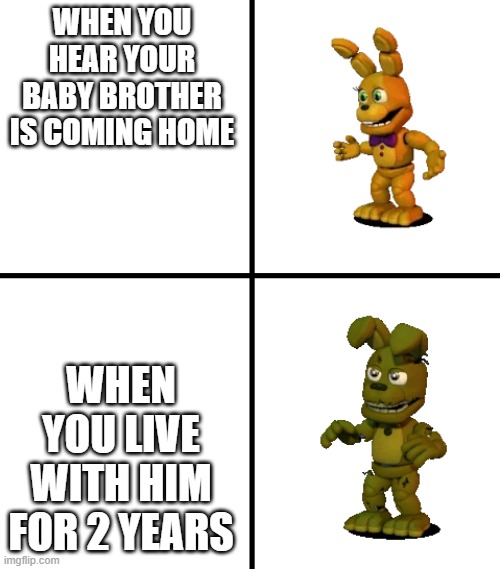 Expectations vs Reality (FNaF World Edit) | WHEN YOU HEAR YOUR BABY BROTHER IS COMING HOME; WHEN YOU LIVE WITH HIM FOR 2 YEARS | image tagged in expectations vs reality fnaf world edit | made w/ Imgflip meme maker