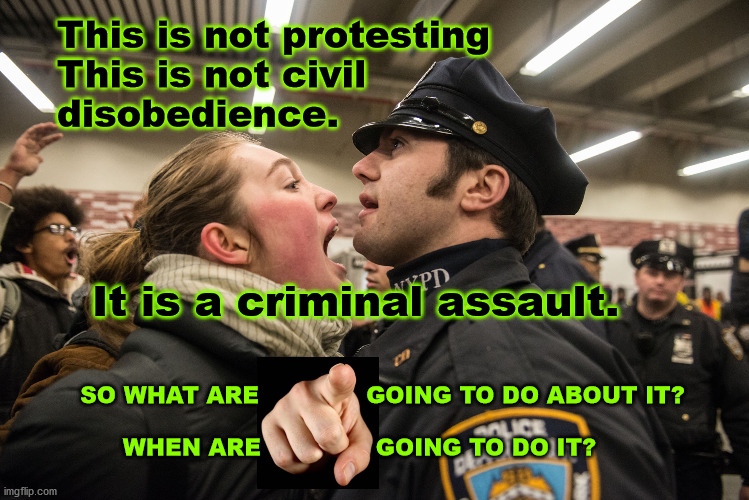 Assaults on police | This is not protesting  
This is not civil 
disobedience. It is a criminal assault. SO WHAT ARE              GOING TO DO ABOUT IT?
 
WHEN ARE               GOING TO DO IT? | image tagged in should be prosecuted | made w/ Imgflip meme maker