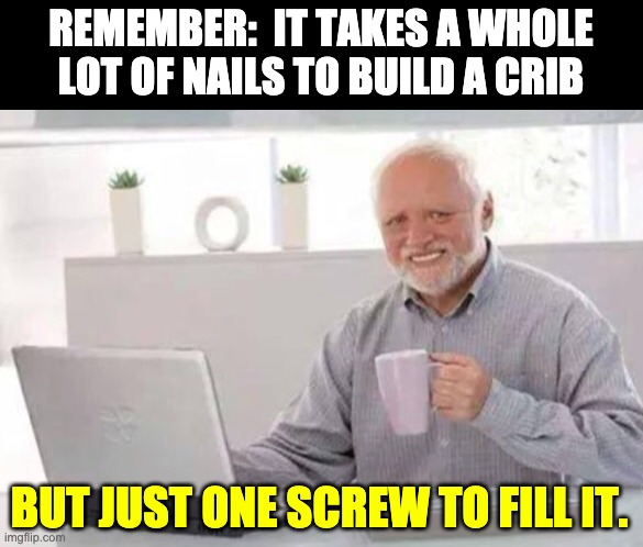 Harold | REMEMBER:  IT TAKES A WHOLE LOT OF NAILS TO BUILD A CRIB; BUT JUST ONE SCREW TO FILL IT. | image tagged in harold | made w/ Imgflip meme maker