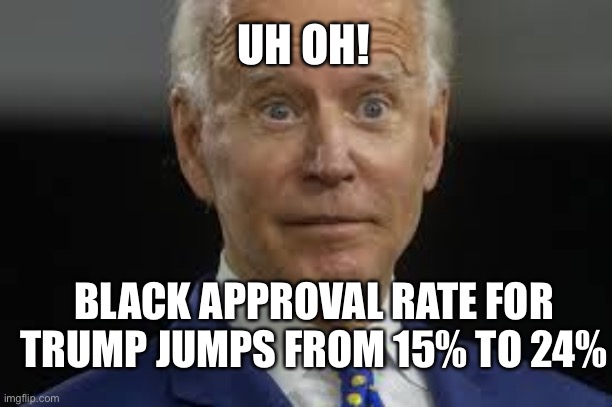 After RNC Convention. Trump gains Black support. | UH OH! BLACK APPROVAL RATE FOR TRUMP JUMPS FROM 15% TO 24% | image tagged in trump,president trump,biden | made w/ Imgflip meme maker