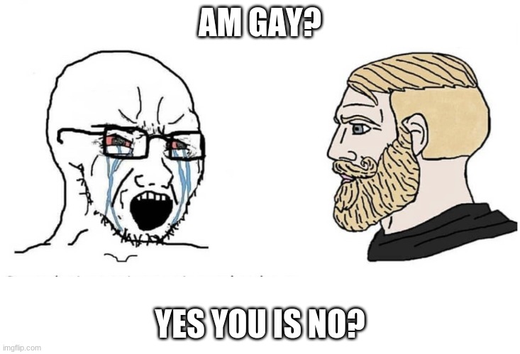 WHY | AM GAY? YES YOU IS NO? | image tagged in soyboy vs yes chad | made w/ Imgflip meme maker