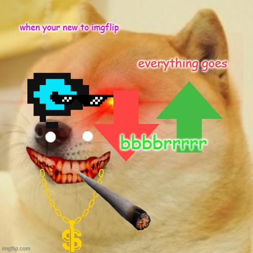 new imglfip users be like: | when your new to imgflip; everything goes; bbbbrrrrr | image tagged in doge | made w/ Imgflip meme maker
