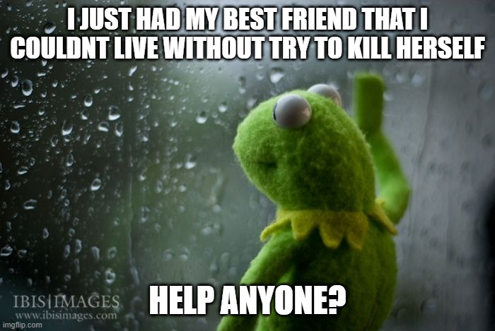 kermit window | I JUST HAD MY BEST FRIEND THAT I COULDNT LIVE WITHOUT TRY TO KILL HERSELF; HELP ANYONE? | image tagged in kermit window | made w/ Imgflip meme maker
