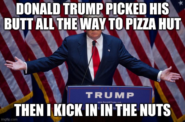Donald Trump | DONALD TRUMP PICKED HIS BUTT ALL THE WAY TO PIZZA HUT; THEN I KICK IN IN THE NUTS | image tagged in donald trump | made w/ Imgflip meme maker