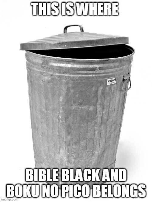bible black and boku no pico are both trash | THIS IS WHERE; BIBLE BLACK AND BOKU NO PICO BELONGS | image tagged in trash can,boku no pico,anime,memes,funny,bible black | made w/ Imgflip meme maker