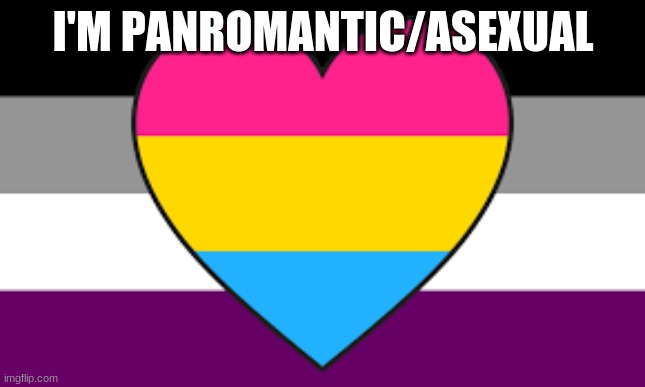 yeet | I'M PANROMANTIC/ASEXUAL | image tagged in my sexuality | made w/ Imgflip meme maker