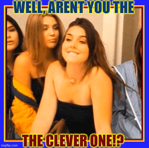 WELL, ARENT YOU THE THE CLEVER ONE!? | made w/ Imgflip meme maker
