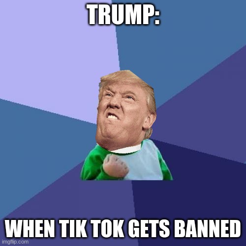 Success Kid | TRUMP:; WHEN TIK TOK GETS BANNED | image tagged in memes,success kid | made w/ Imgflip meme maker
