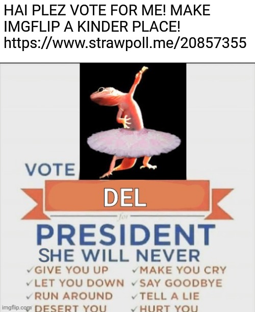vote del for president rickroll | HAI PLEZ VOTE FOR ME! MAKE IMGFLIP A KINDER PLACE! https://www.strawpoll.me/20857355 | image tagged in vote del for president rickroll | made w/ Imgflip meme maker