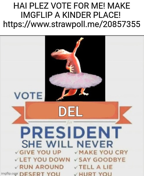 vote del for president rickroll | HAI PLEZ VOTE FOR ME! MAKE IMGFLIP A KINDER PLACE!  https://www.strawpoll.me/20857355 | image tagged in vote del for president rickroll | made w/ Imgflip meme maker