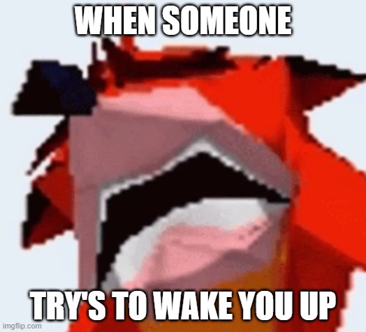 WHEN SOMEONE; TRY'S TO WAKE YOU UP | image tagged in memes | made w/ Imgflip meme maker