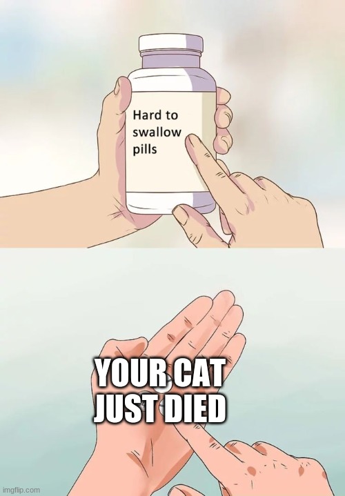 Hard To Swallow Pills Meme | YOUR CAT JUST DIED | image tagged in memes,hard to swallow pills | made w/ Imgflip meme maker
