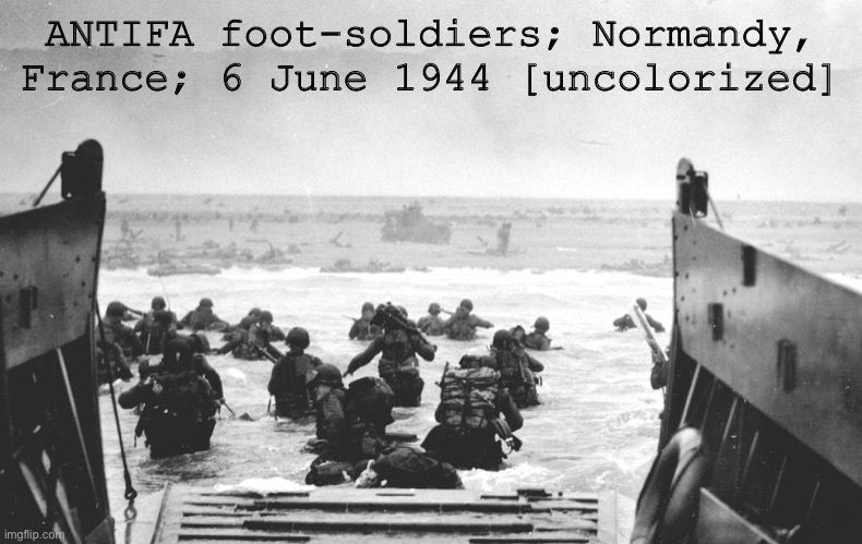The Third Reich only recognized the language of power. When persuasion fails, resistance through force becomes necessary. | ANTIFA foot-soldiers; Normandy, France; 6 June 1944 [uncolorized] | image tagged in d-day landing,antifa,world war ii,world war 2,patriotic,patriotism | made w/ Imgflip meme maker