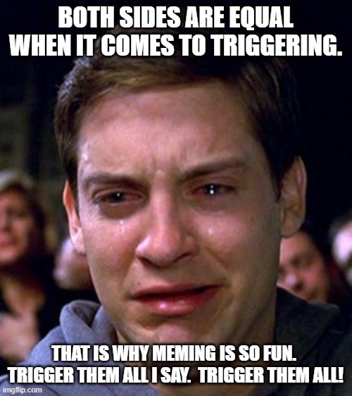 The struggle | BOTH SIDES ARE EQUAL WHEN IT COMES TO TRIGGERING. THAT IS WHY MEMING IS SO FUN.  TRIGGER THEM ALL I SAY.  TRIGGER THEM ALL! | image tagged in the struggle | made w/ Imgflip meme maker