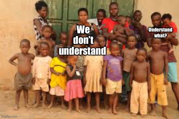We don’t understand Understand what? | made w/ Imgflip meme maker