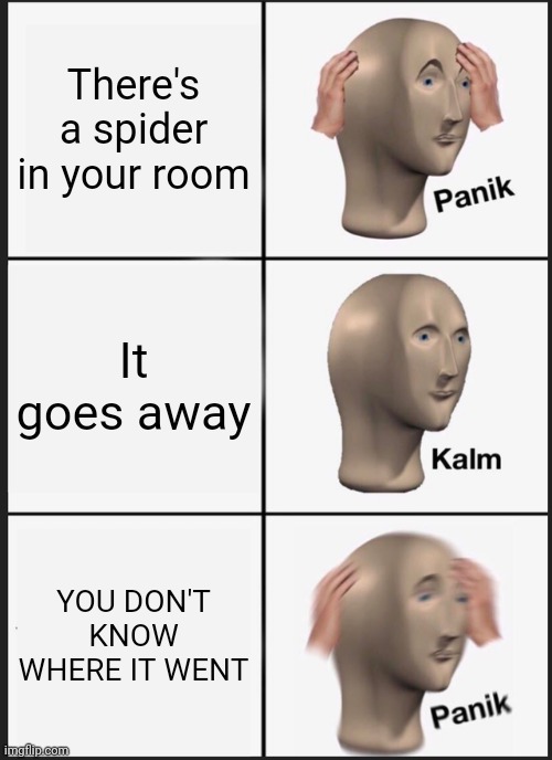 It could be anywhere | There's a spider in your room; It goes away; YOU DON'T KNOW WHERE IT WENT | image tagged in memes,panik kalm panik | made w/ Imgflip meme maker
