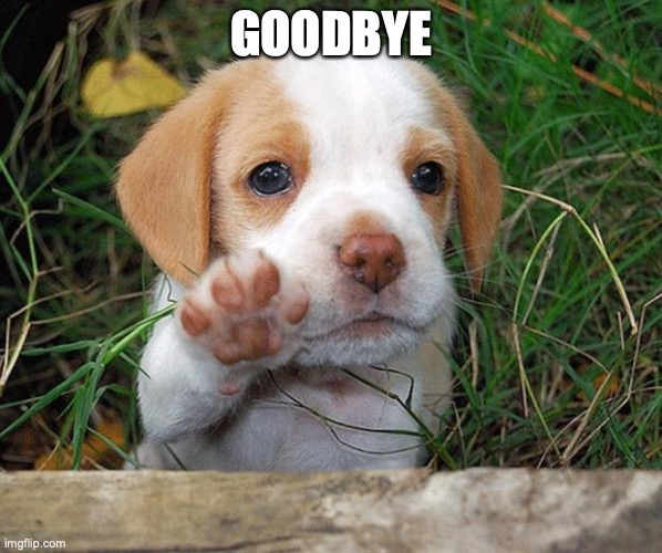 Goodbye | GOODBYE | image tagged in dog puppy bye,goodbye,president puppy,puppylover04,see you guys eventually,idk when | made w/ Imgflip meme maker