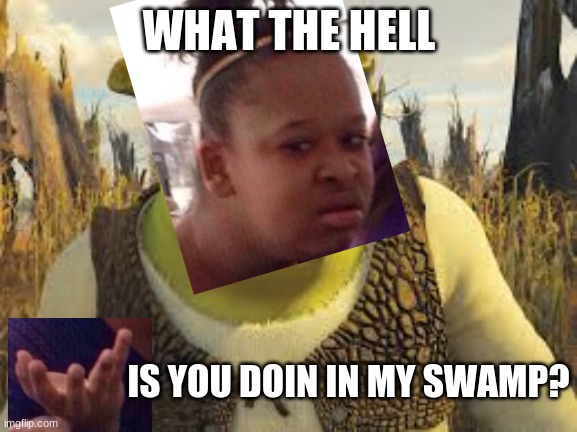 lmao i dont even know why i did this | WHAT THE HELL; IS YOU DOIN IN MY SWAMP? | image tagged in black girl wat,shrek | made w/ Imgflip meme maker