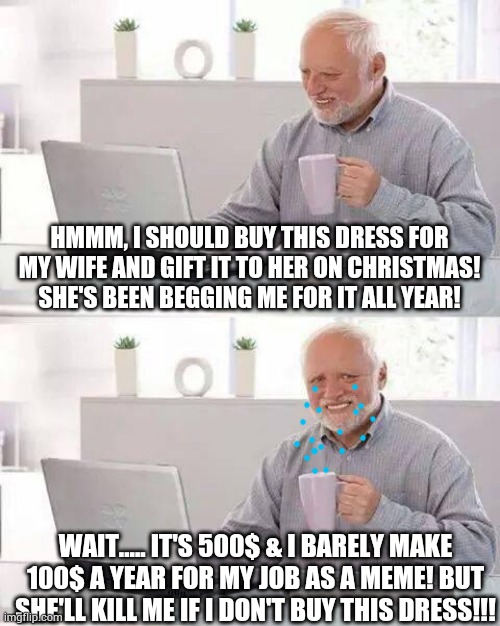 Hide the pain Harold, hide the pain. | HMMM, I SHOULD BUY THIS DRESS FOR MY WIFE AND GIFT IT TO HER ON CHRISTMAS! SHE'S BEEN BEGGING ME FOR IT ALL YEAR! WAIT..... IT'S 500$ & I BARELY MAKE 100$ A YEAR FOR MY JOB AS A MEME! BUT SHE'LL KILL ME IF I DON'T BUY THIS DRESS!!! | image tagged in memes,hide the pain harold | made w/ Imgflip meme maker