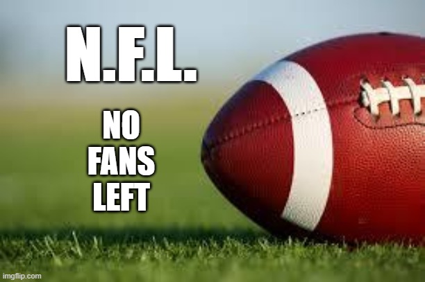 NFL | N.F.L. NO FANS LEFT | image tagged in football field,nfl memes | made w/ Imgflip meme maker