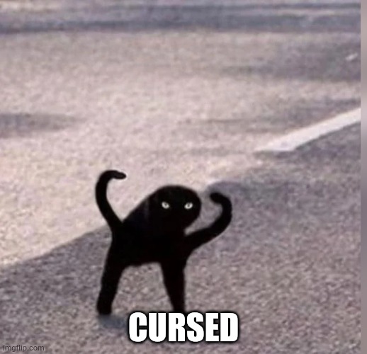 Cursed Cat | CURSED | image tagged in cursed cat | made w/ Imgflip meme maker