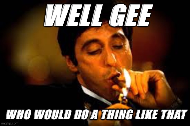 When they obliquely attack you in the EAM stream a couple days after oblique attacks in the EAM stream are banned. | WELL GEE WHO WOULD DO A THING LIKE THAT | image tagged in al pacino cigar,conservative hypocrisy,hypocrisy,imgflip trolls,imgflip mods,mods | made w/ Imgflip meme maker