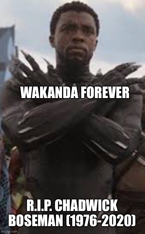 May he rest in peace |  WAKANDA FOREVER; R.I.P. CHADWICK BOSEMAN (1976-2020) | image tagged in wakanda,wakanda forever,black panther,marvel | made w/ Imgflip meme maker