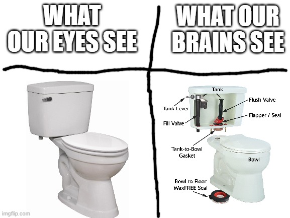 Flush it. | WHAT OUR BRAINS SEE; WHAT OUR EYES SEE | image tagged in blank white template,toilet,anatomy,eyes,brain,memes | made w/ Imgflip meme maker