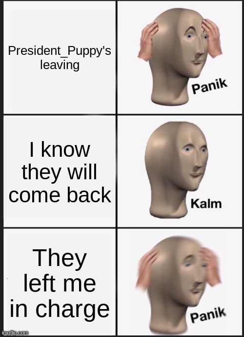 So now I'm a sub for puppy | President_Puppy's leaving; I know they will come back; They left me in charge | image tagged in memes,panik kalm panik | made w/ Imgflip meme maker