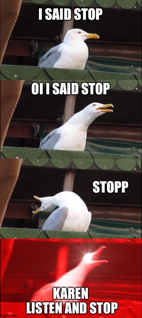 Inhaling Seagull | I SAID STOP; OI I SAID STOP; STOPP; KAREN
 LISTEN AND STOP | image tagged in memes,inhaling seagull | made w/ Imgflip meme maker