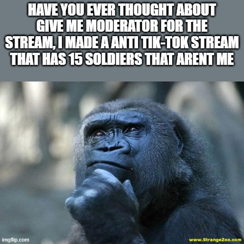 Deep Thoughts | HAVE YOU EVER THOUGHT ABOUT GIVE ME MODERATOR FOR THE STREAM, I MADE A ANTI TIK-TOK STREAM THAT HAS 15 SOLDIERS THAT ARENT ME | image tagged in deep thoughts | made w/ Imgflip meme maker