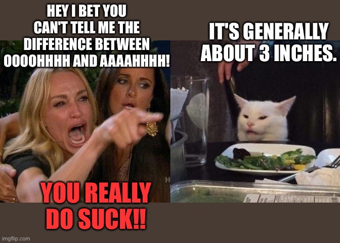 Woman yelling at cat | IT'S GENERALLY ABOUT 3 INCHES. HEY I BET YOU CAN'T TELL ME THE DIFFERENCE BETWEEN OOOOHHHH AND AAAAHHHH! YOU REALLY DO SUCK!! | image tagged in woman yelling at smudge the cat | made w/ Imgflip meme maker
