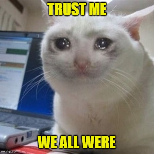 Crying cat | TRUST ME WE ALL WERE | image tagged in crying cat | made w/ Imgflip meme maker