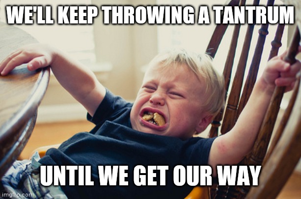 Toddler Tantrum | WE'LL KEEP THROWING A TANTRUM UNTIL WE GET OUR WAY | image tagged in toddler tantrum | made w/ Imgflip meme maker