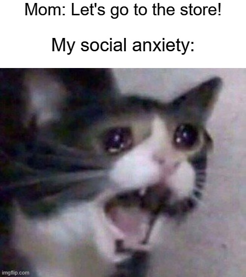  Mom: Let's go to the store! My social anxiety: | image tagged in blank white template,social anxiety,screaming cat | made w/ Imgflip meme maker