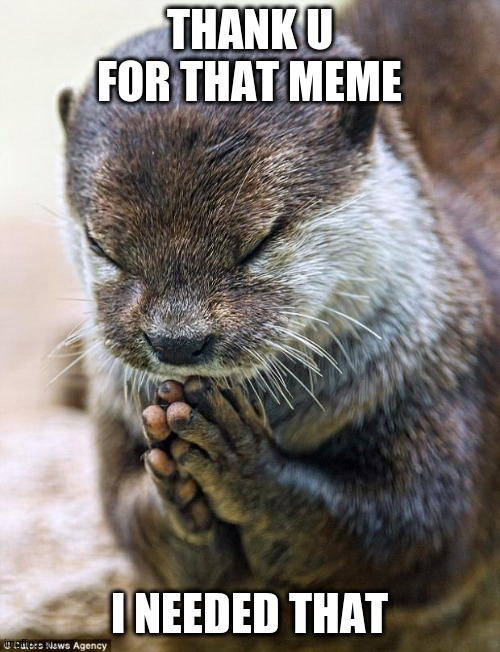 Thank you Lord Otter | THANK U FOR THAT MEME I NEEDED THAT | image tagged in thank you lord otter | made w/ Imgflip meme maker