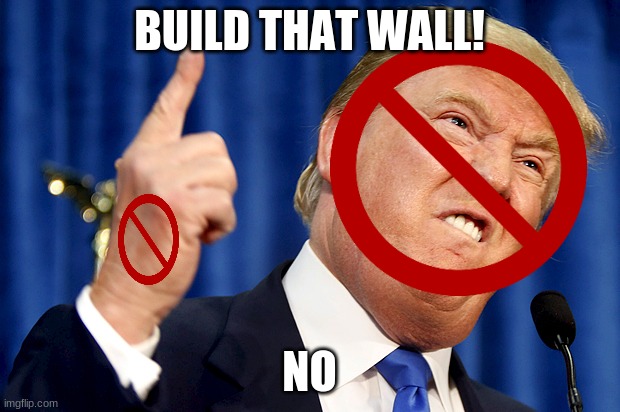 Donald Trump | BUILD THAT WALL! NO | image tagged in donald trump | made w/ Imgflip meme maker